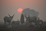 Mundari, South Sudan