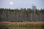 Kuusamo, Finland