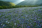 The Abruzzi, Italy