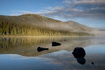 Ormtjernkampen NP, Norwegen