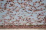 Lake Natron, Tanzania