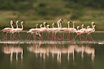 Lake Natron, Tanzania