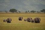 Serengeti, Tanzania