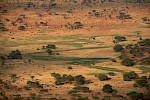 Tsavo West, Kenia