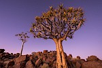 Kalahari, Namibia