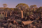 Kalahari, Namibia