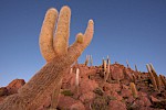 Sal de Uyuni, Bolivien