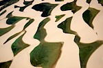 Lencois Maranhenses, Brazil