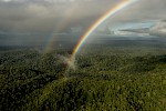 Amazonia, Brazil