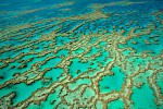 Great Barrier Reef, Australien