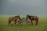 Dornod Steppe, Mongolei