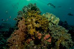 Raja Ampat, Indonesien