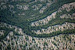 White Mountains, Kanada