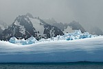 Drygalski Fjord, Südgeorgien