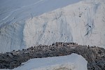 Antarctic Peninsula