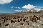 St. Andrews Bay, South Georgia